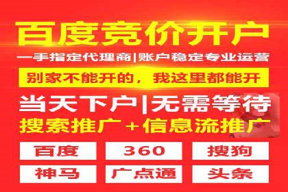 解析SEM外包公司如何利用数据分析优化广告效果